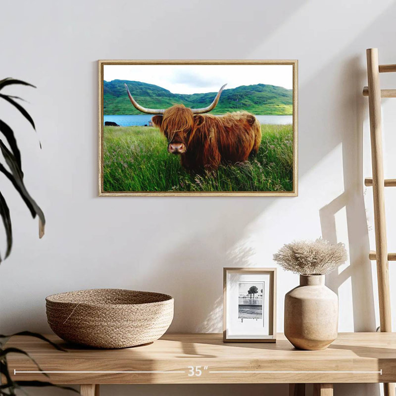 Vache Highland, Cadre flottant en bois naturel, 19 po x 13 po