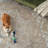 Laleia Washable Oriental Indoor Rug-1815731669