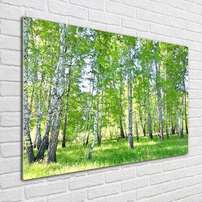 Birches - No Frame Print on Glass