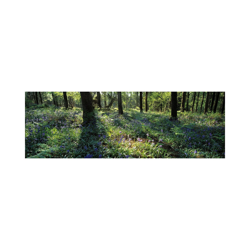 Bluebells Growing In A Forest, Exe Valley, Devon, England - Wrapped Canvas Panoramic Print