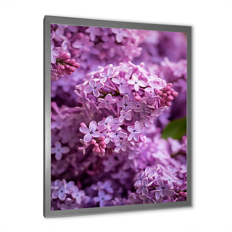«Lilac mauve», reproduction sur toile, H 32 po x l 24 po x P 1 po, Cadre simple argenté