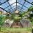 Grower’s Haven Polycarbonate Greenhouse Double Swing Doors 2 Vents 5.2FT Added Wall Height-90597046
