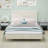 Modern Queen size Bed Frame-1967604076