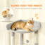 170 cm H Cat Tree / Condo