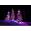LED Indoor / Outdoor String Lights-244878512-244878520