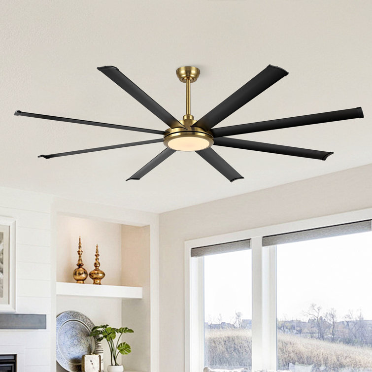 Osaze Ceiling Fan with LED Lights