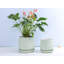 Mini pots en terre cuite roulés à la main avec soucoupe intégrée (paquet de 6) - Intérieur-1915569528-1915569530
