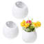 Wall Planter-2051002001