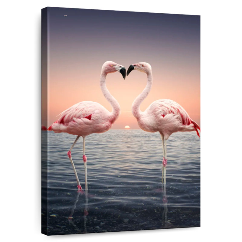 Flamants roses amoureux