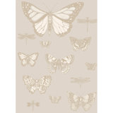Whimsical Butterflies And Dragonflies Wallpaper Roll