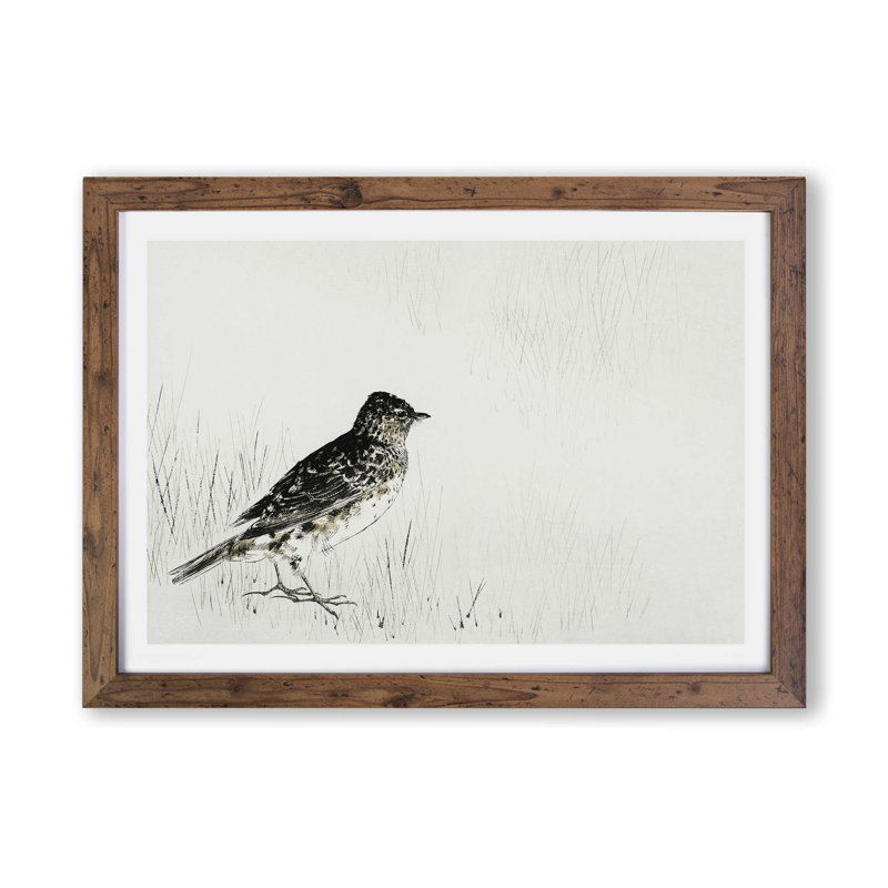 Skylark by Watanabe Seitei - Framed Print, 24cm H x 33cm W x 2cm D, Walnut