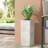 MGO PLANTER