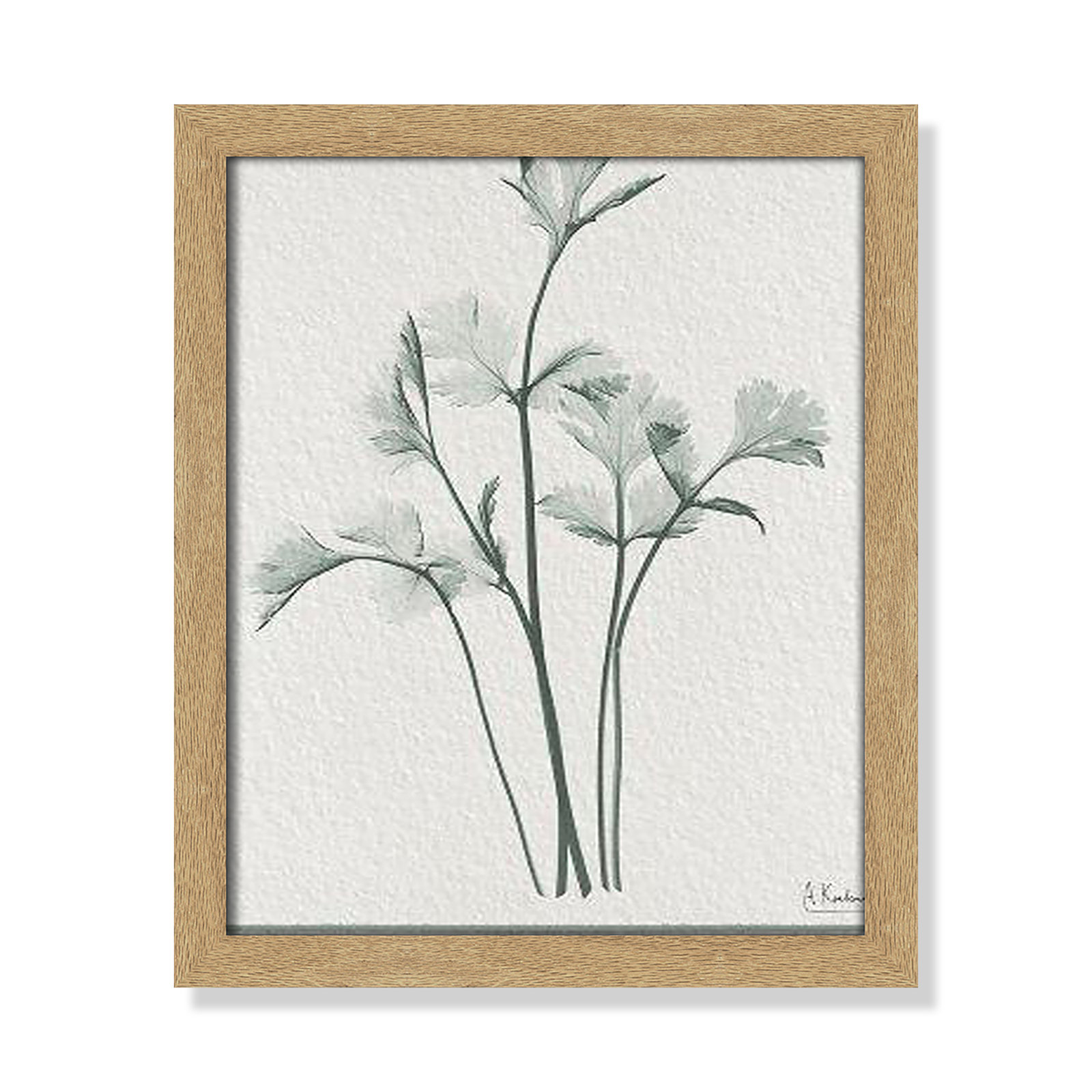 Jeanette "Parsley II" Print by Albert Koetsier, 15" H x 13" W x 1.25" D, Natural Framed Paper