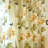 2 Panel Retro Peony Rose Sheer Curtains With Beads Vintage Elegant Rod Pocket Semi Floral Sheer Curtain Lace Voile Panel Drapes Tulle Window Curtains For Living Room Bedroom Dining Room Door Coffee 39 X 78 Inch-1494320366