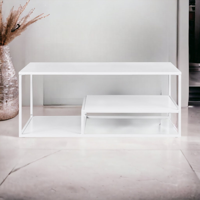 Lohner Coffee Table with Storage
