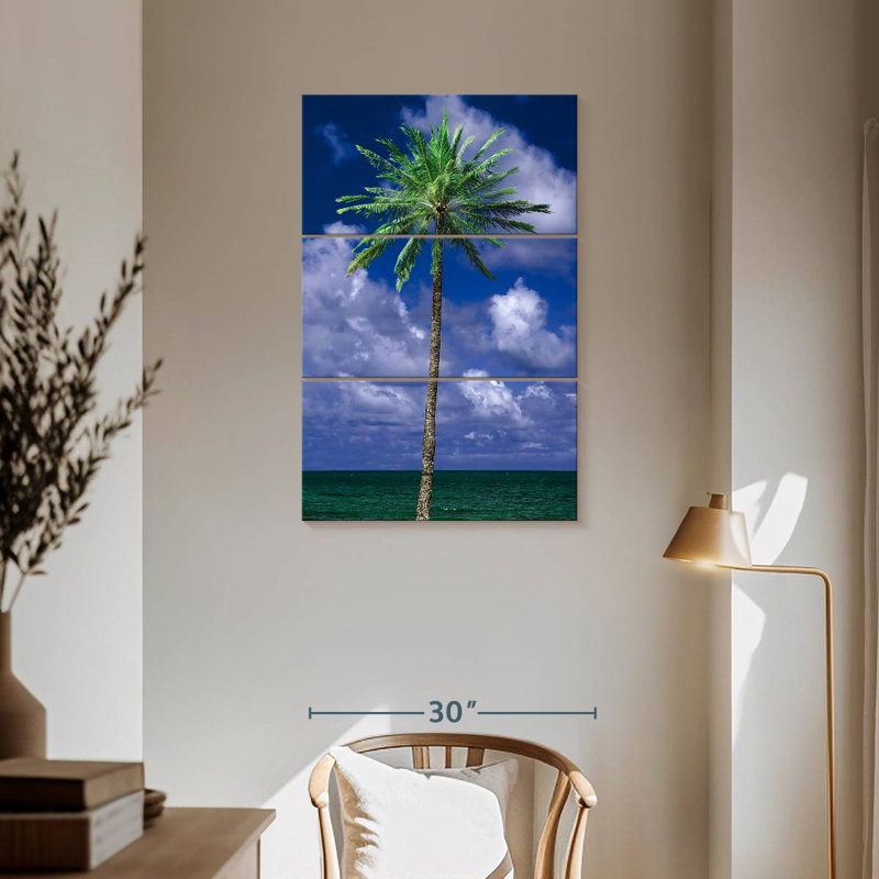 Palmier Gillard Maui, H 57 po x l 36 po