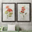 Lin géranium - ensemble de 2 reproductions d'art-1254695852-1254695854-1254695853