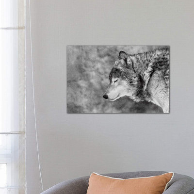 «Let It Snow» par Victoria Ivanova - reproduction de photo