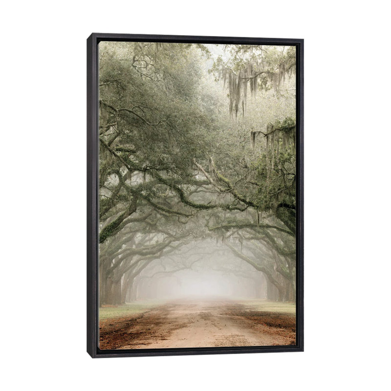 Plantation Drive, 40" H x 26" W x 1.5" D, Distressed Black Floater Framed Canvas