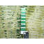 Tapis de couloir oriental vert en soie noué à la main 2 pi 6 po x 8 pi 2 po-1101427742