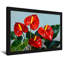 Plantes et fleurs fleurs d'anthurium rouges avec feuilles vertes-1367718499-1367718498-1367718497