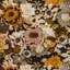 Rhapsody Arioso Print Fabic-272872418