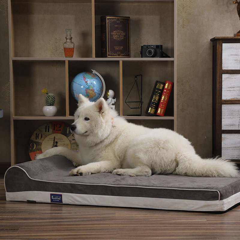 Traversin géant pour chien, L 46 po x P 28 po x H 8 po, Gris