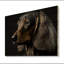Portrait d'un teckel glam noir - décoration murale animaux chien teckel-88040067-88040068