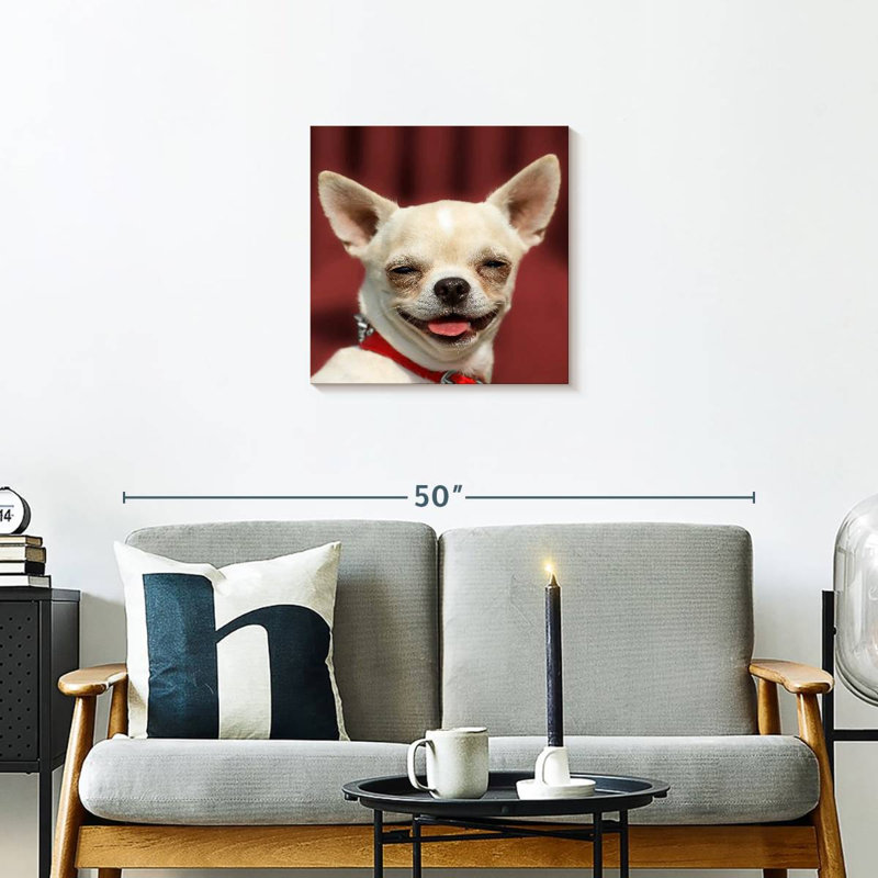 Chihuahua souriant Ketti, H 20 po x l 20 po