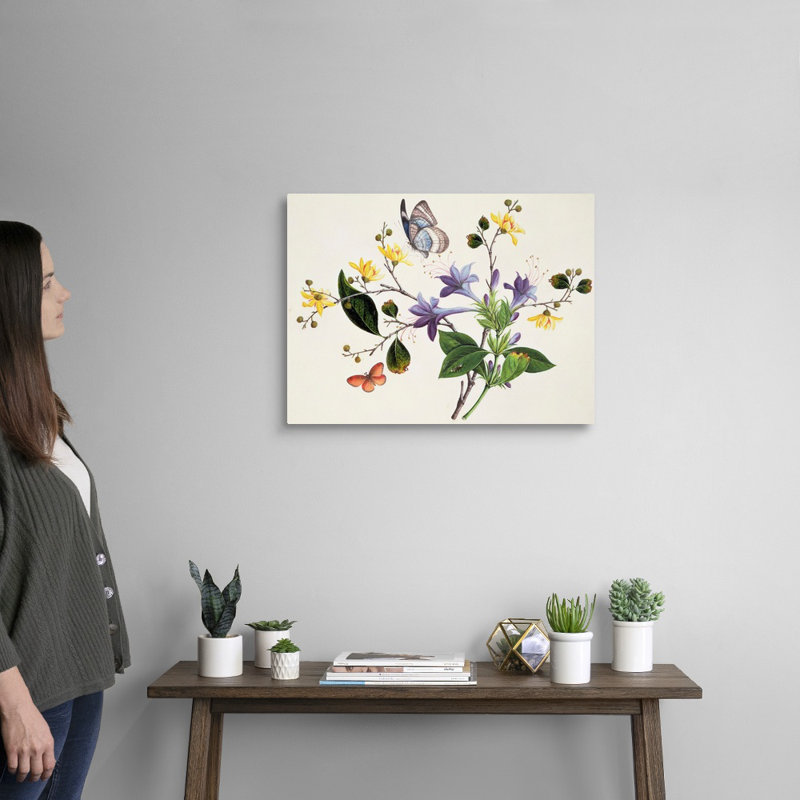 " Flower Study And Insects ", Wrapped Canvas, 18" H x 24" W x 1.25" D