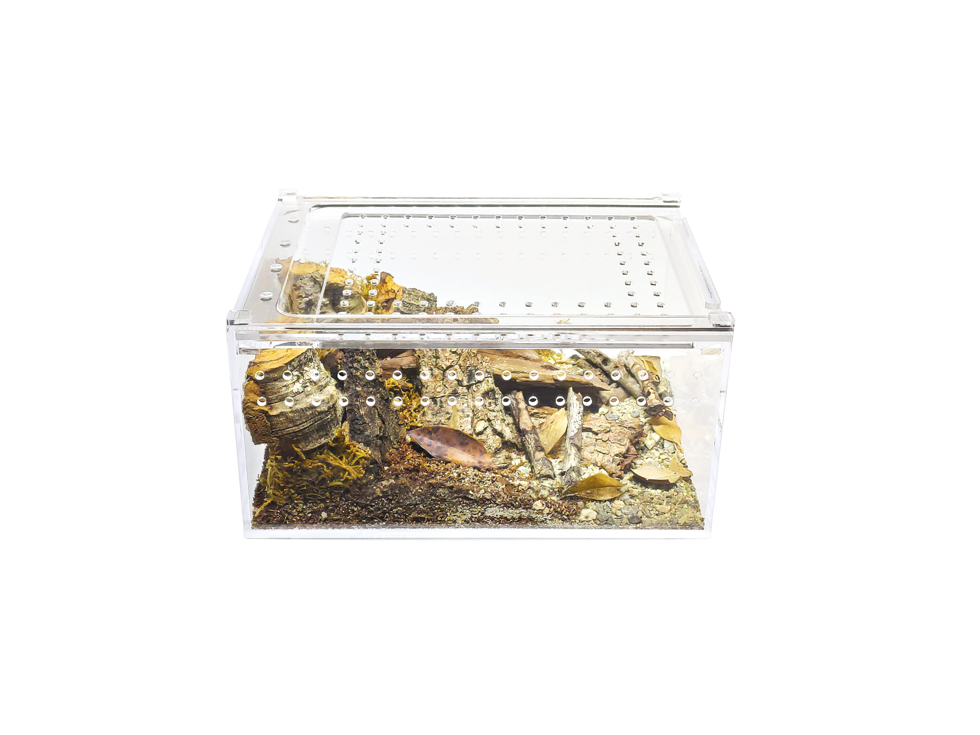 HerpCult Acrylic Enclosure & Reviews Wayfair Canada