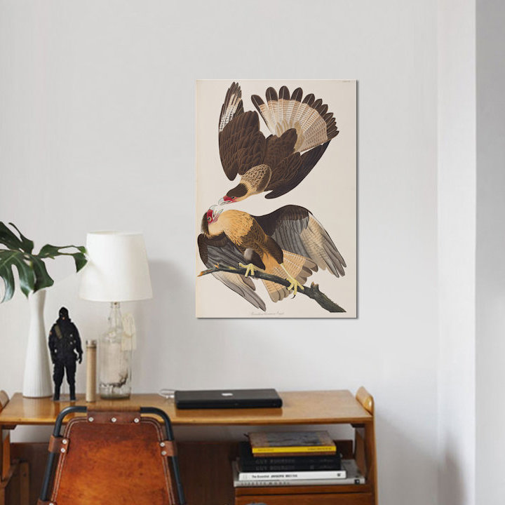 « brasilian caracara eagle », reproduction d’impression sur toile, H 12 po x l 8 po x P 0,75 po, Toile tendue, Pas de tapis