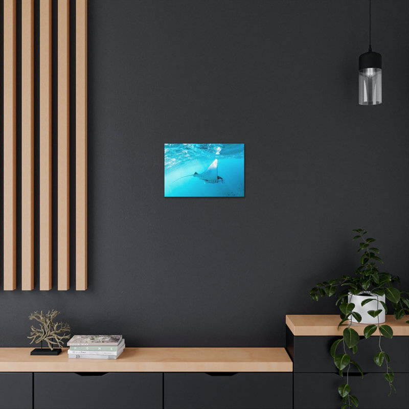 No Frame Print on Canvas, 30.48cm H x 40.64cm W