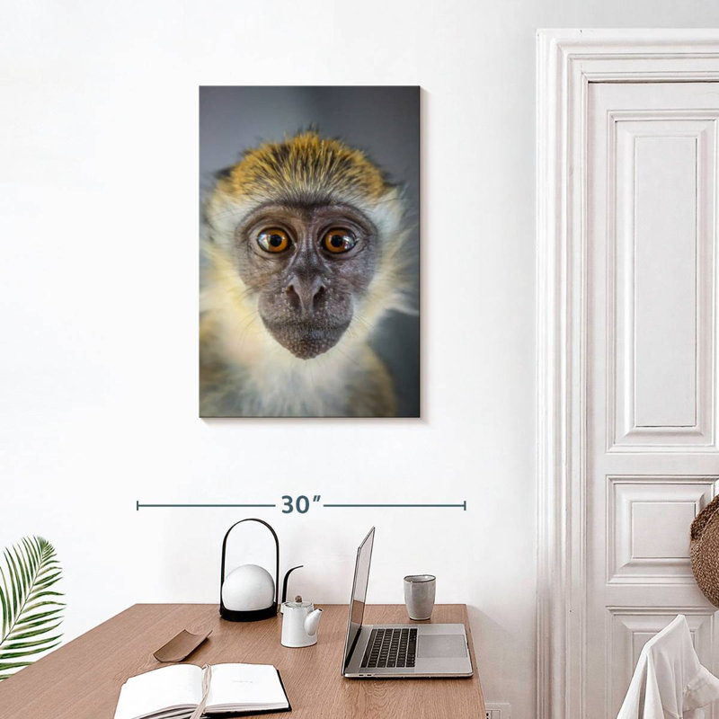 Brampt Vervet Monkey, 30" H x 20" W