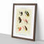 Bass Fishing Flies Version 1 by Mary Orvis Marbury - Picture Frame Painting Print-55683482-55683487