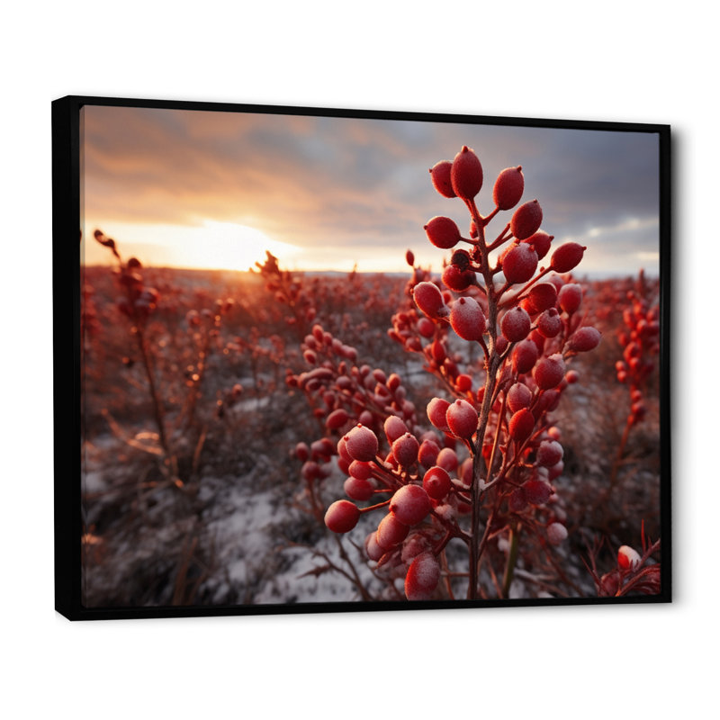 " Canada Canadian Tundra II ", Black, 34" H x 44" W x 1.5" D