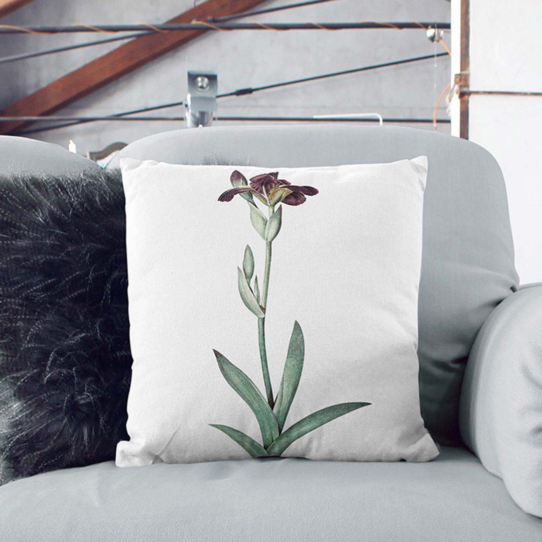 Flag Iris Flower by Pierre-Joseph Redoute Cushion with Filling