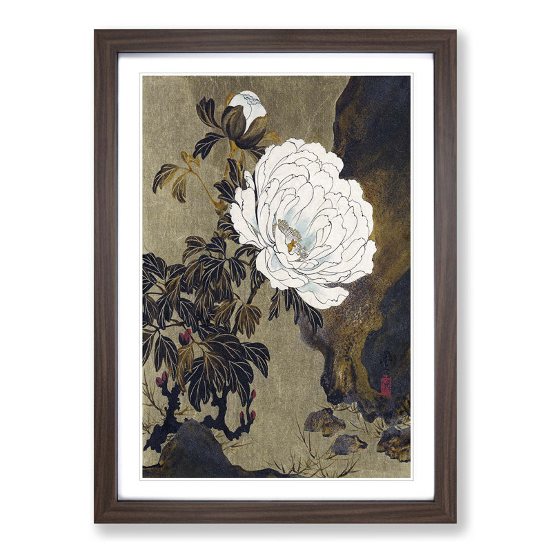 A Peony Flower by Shibata Zeshin - Framed Print, 45cm H x 33cm W x 2cm D, Walnut  Bordered Framed
