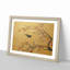 Flying Bird by Cui Bai - Framed Print-55576103-55576100