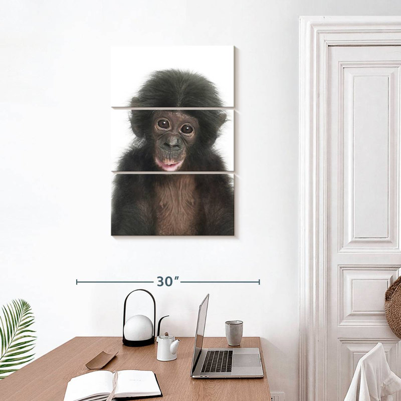 Bébé singe Brampt, H 32 po x l 20 po