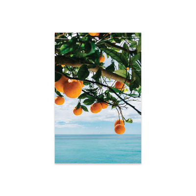 Gaerwyn " Amalfi Coast Oranges IV " Graphic Art Print