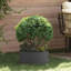 Garden Planter 20 Cm Steel-1264316692-1264316694