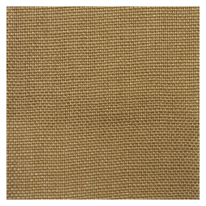 Tissu massif, Champignon