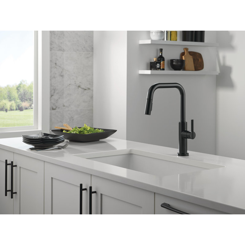 Nicoli U-Spout Pull Down Sprayer Kitchen Sink Faucet, Single Handle Kitchen Faucet, Matte Black