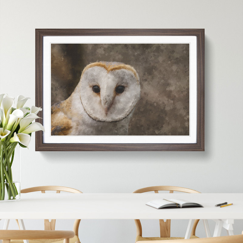 Barn Owl Vol.1 - Framed Print, Walnut Framed, 36cm H x 48cm W x 2cm D