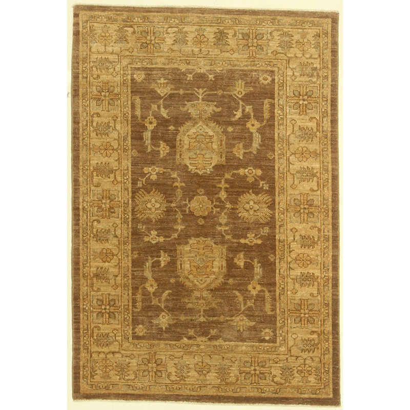 Hand Knotted Oriental Area Rug in Brown