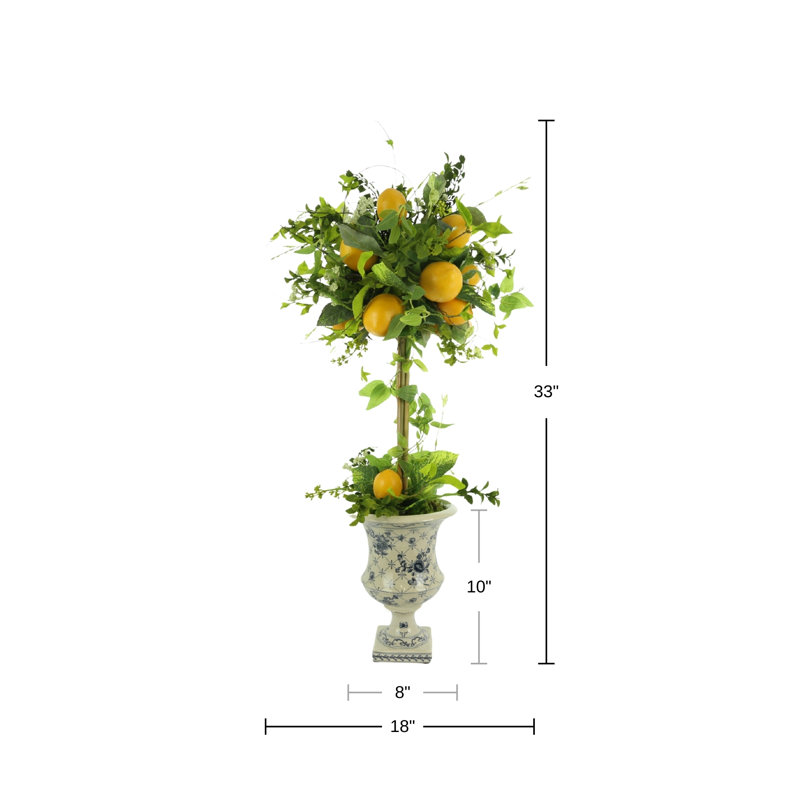 Lemon Plant Topiary