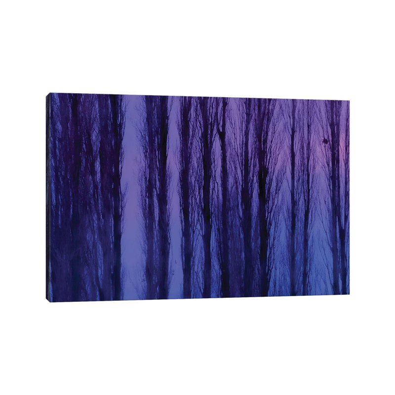 Abstract Winter Trees by Beli - Wrapped Canvas Print, 20.32 cm H x 30.48 cm W