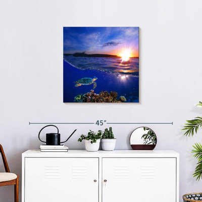 Alvord Sunset Sea Turtle