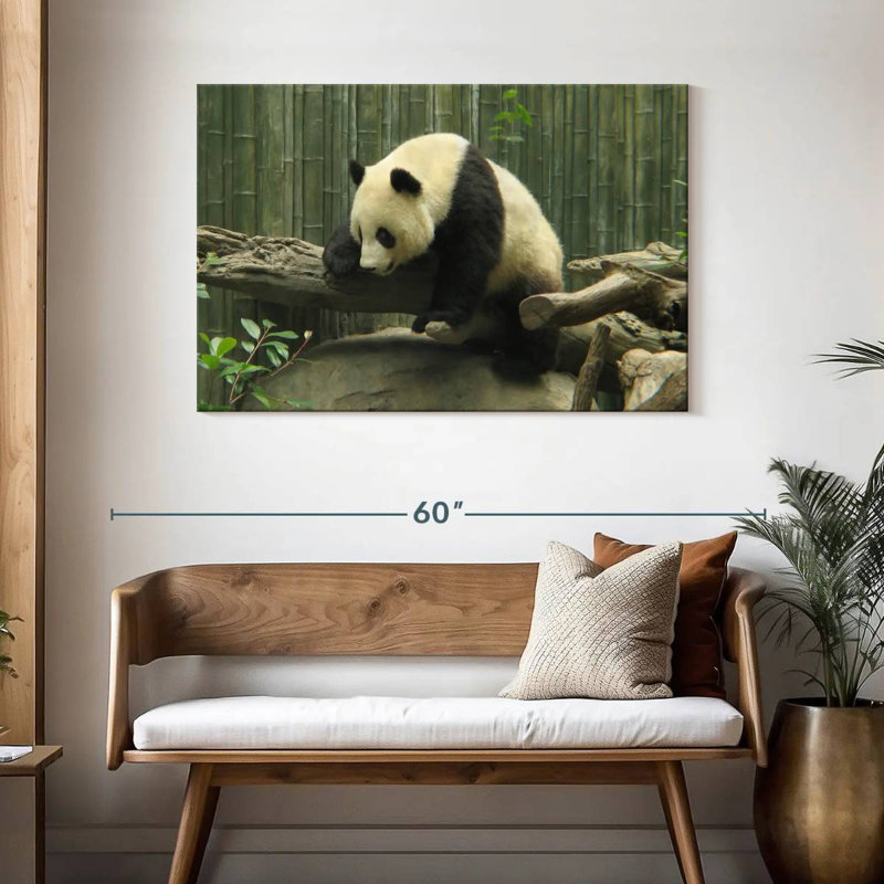 Panda On A Trunk